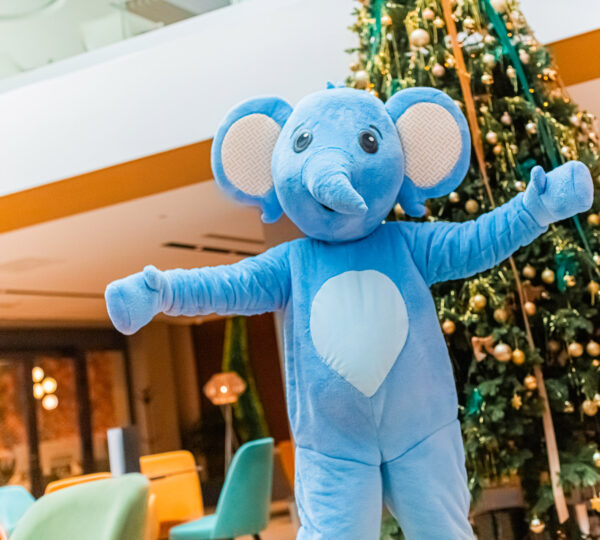 Hotel Helikon****superior