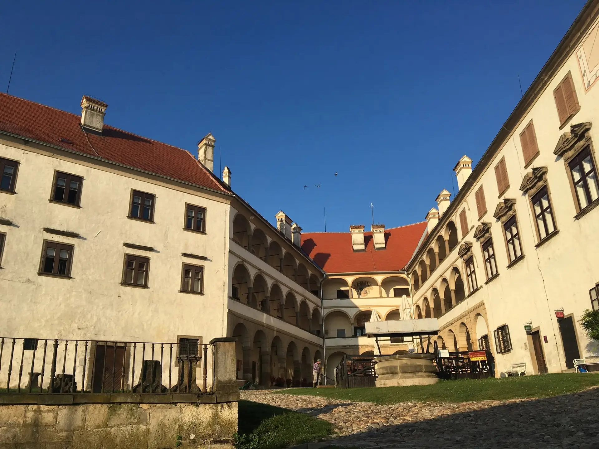 Ptujski grad